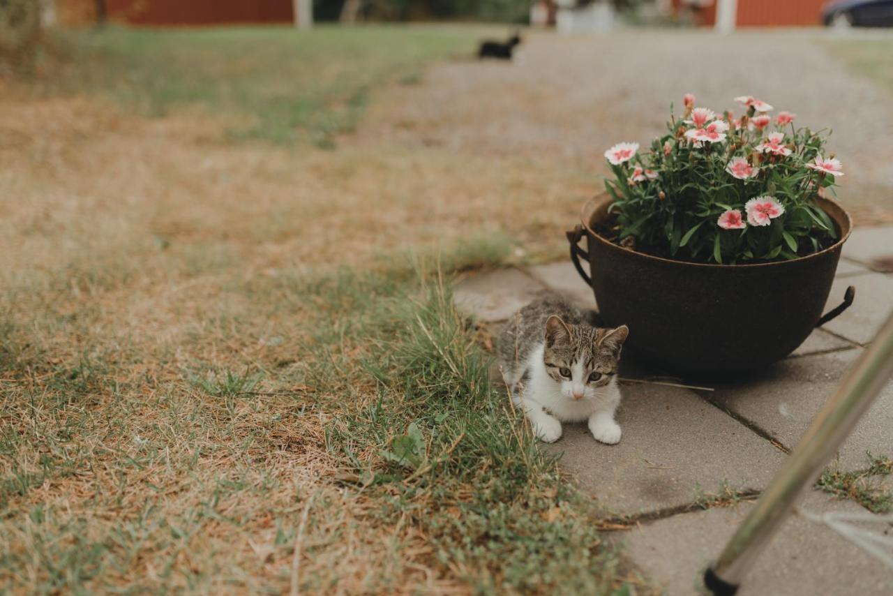 Lillstugan Voyri Bagian luar foto
